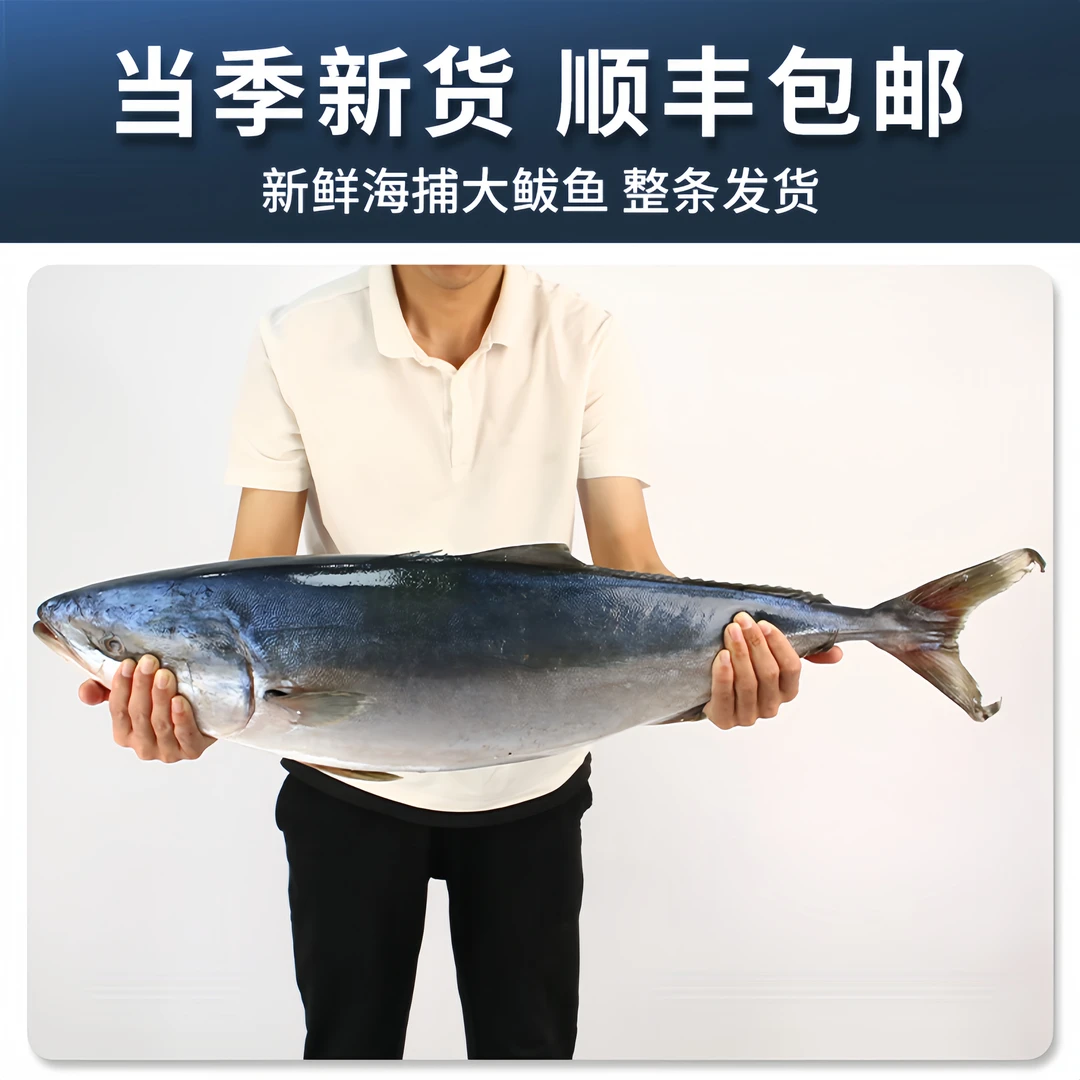 【顺丰包邮】深海黄金大鲅鱼 整条大鱼 送礼必备特产12-22斤礼盒装