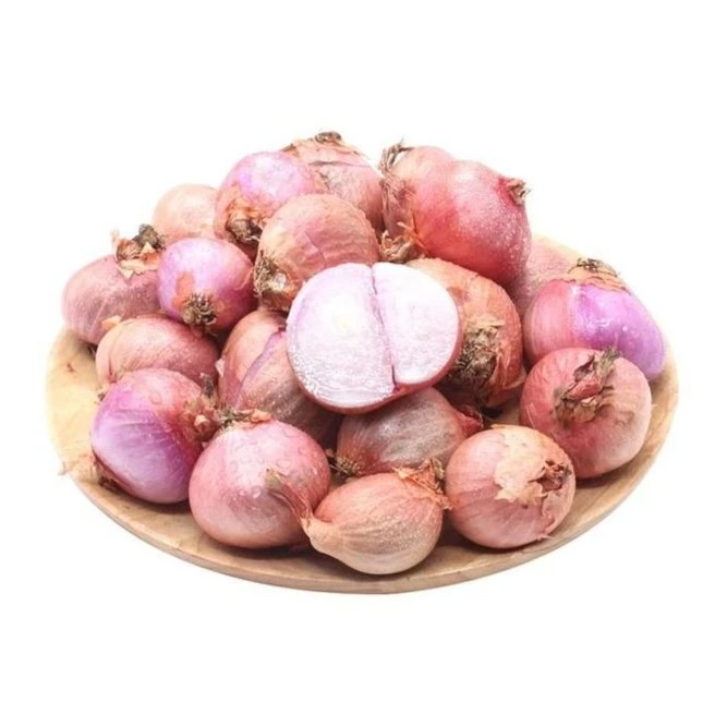 东北小毛葱 500g洋葱同城送洋葱同城送新鲜