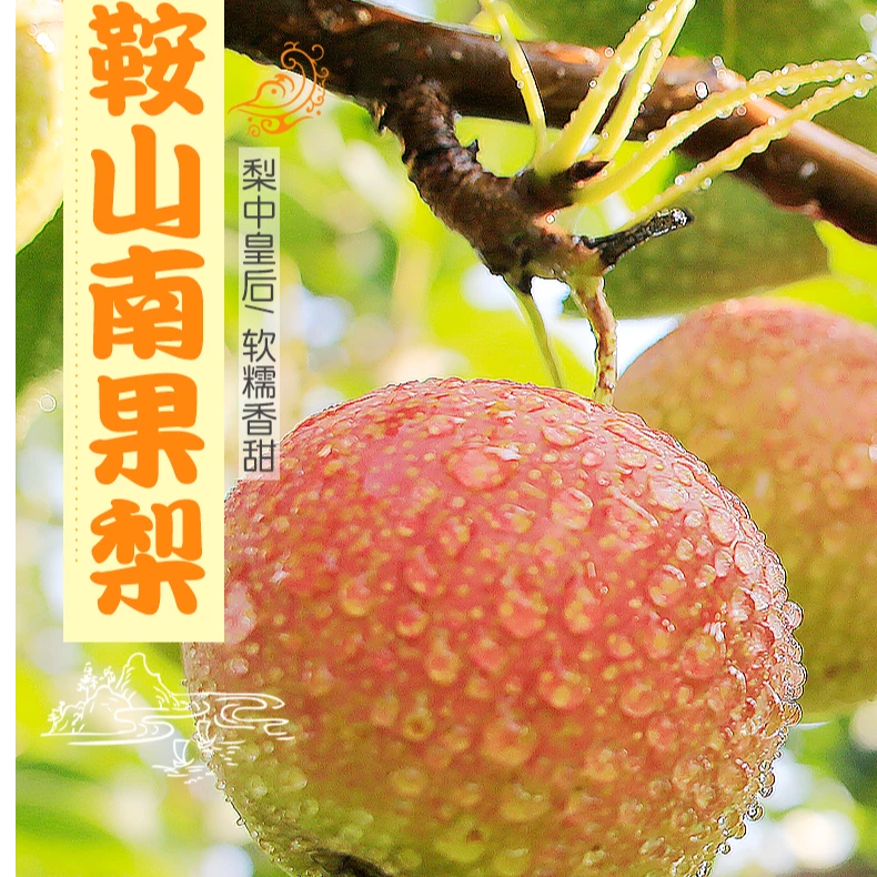 鞍山特产南果梨产地直发2斤装小果特价品尝