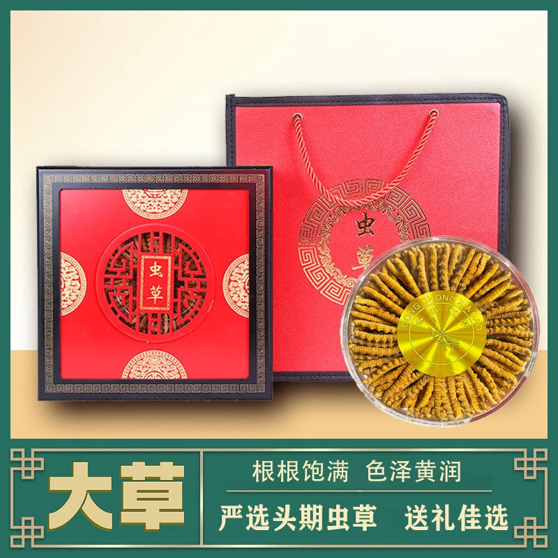 【海娃专属】100条虫草王 礼盒装头期冬虫夏草大草 礼盒装