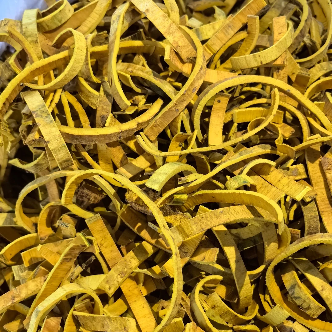 黄柏正宗中药材黄柏新货泡水泡茶手工优质新货