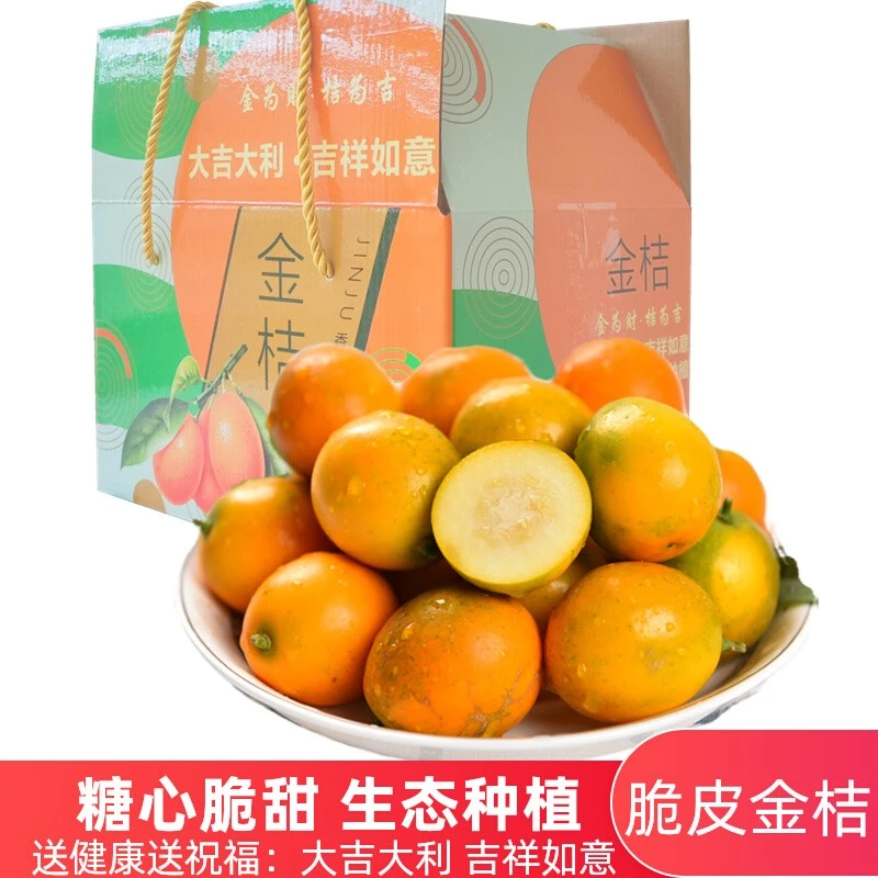 漓鲜粉丝福利桂林脆皮金桔融安金桔现摘新鲜水果纯甜滑皮小金桔子