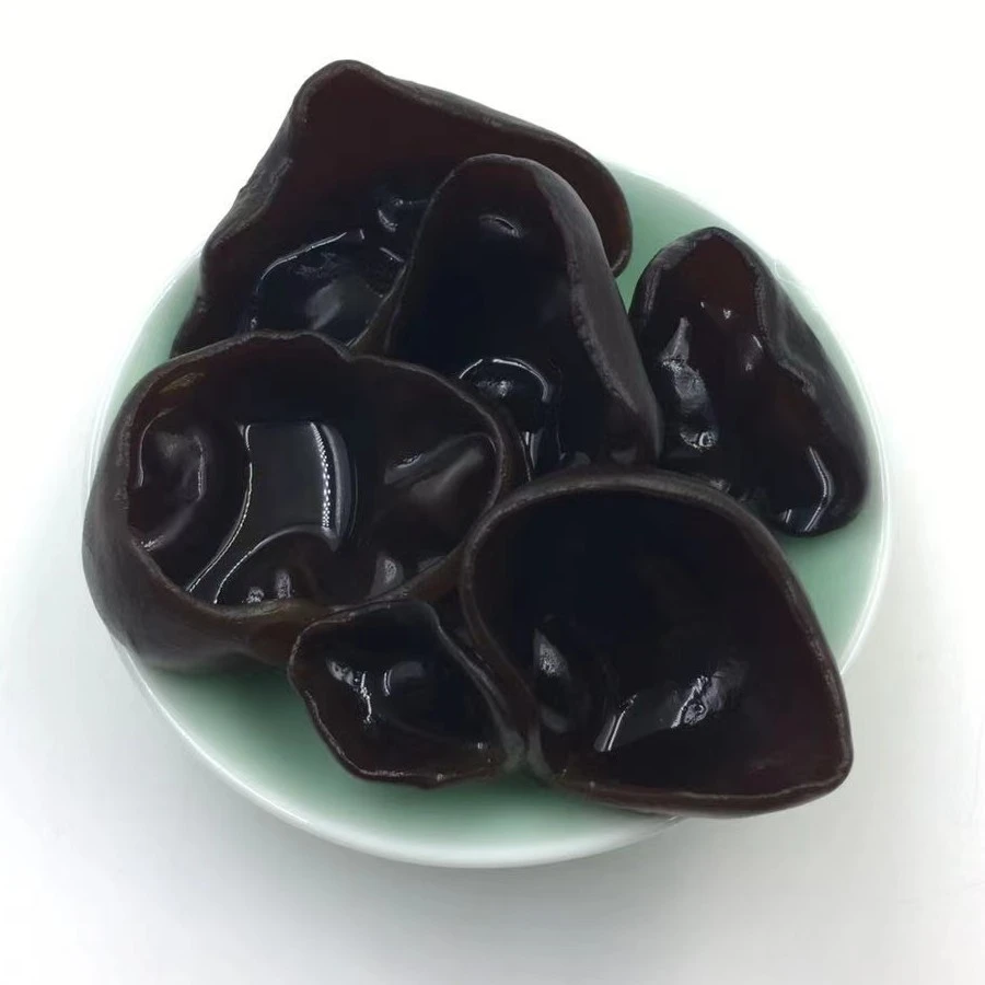 2023【小碗秋木耳】头茬肉厚无根东北秋木耳100g250g500g肉质厚实