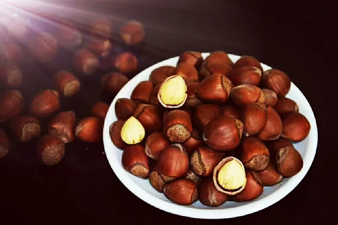 23年新玉坠大榛子皮薄肉厚香甜可口200克，1斤2斤3斤（下单送夹子）