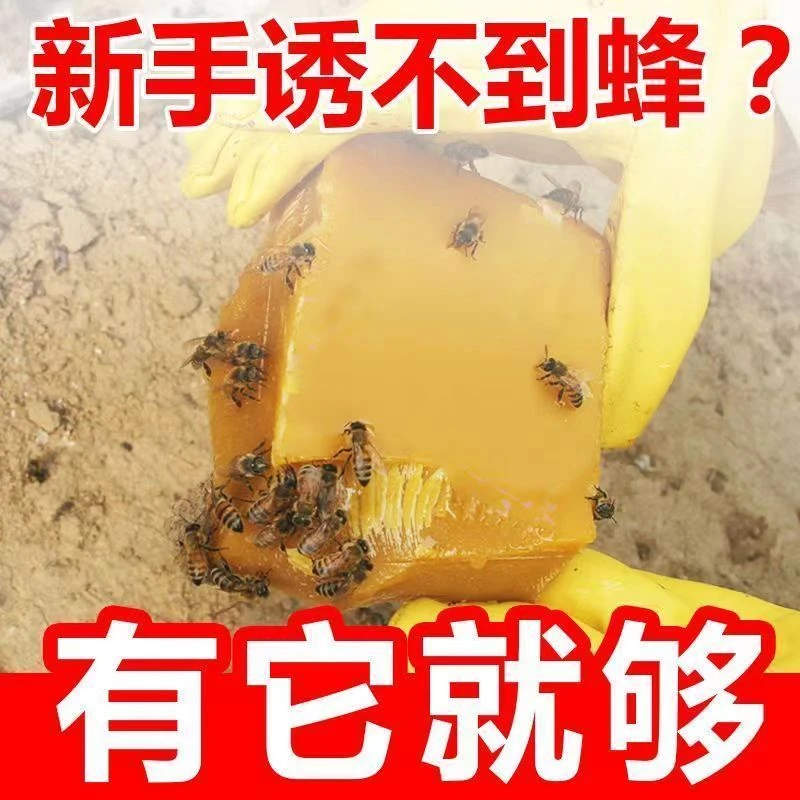 蜂蜡诱蜂蜡中蜂老脾蜡招蜂引蜂蜡蜂哥蜂蜡土蜂蜡诱蜂养蜂诱蜂野外