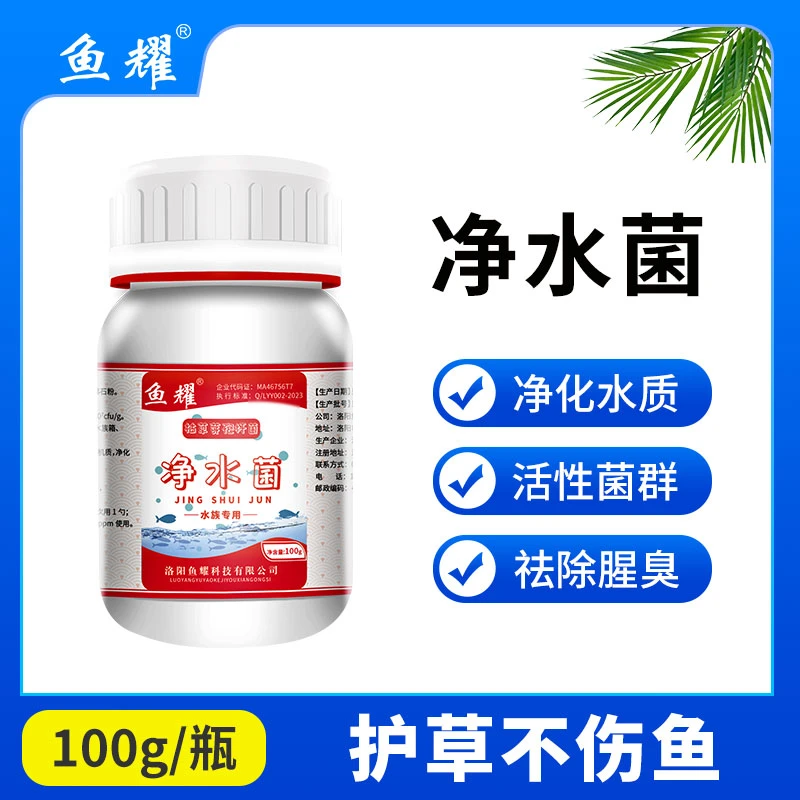 净水菌鱼缸专用净化水质消除软化残饵粪便不伤鱼有益水产养殖100g