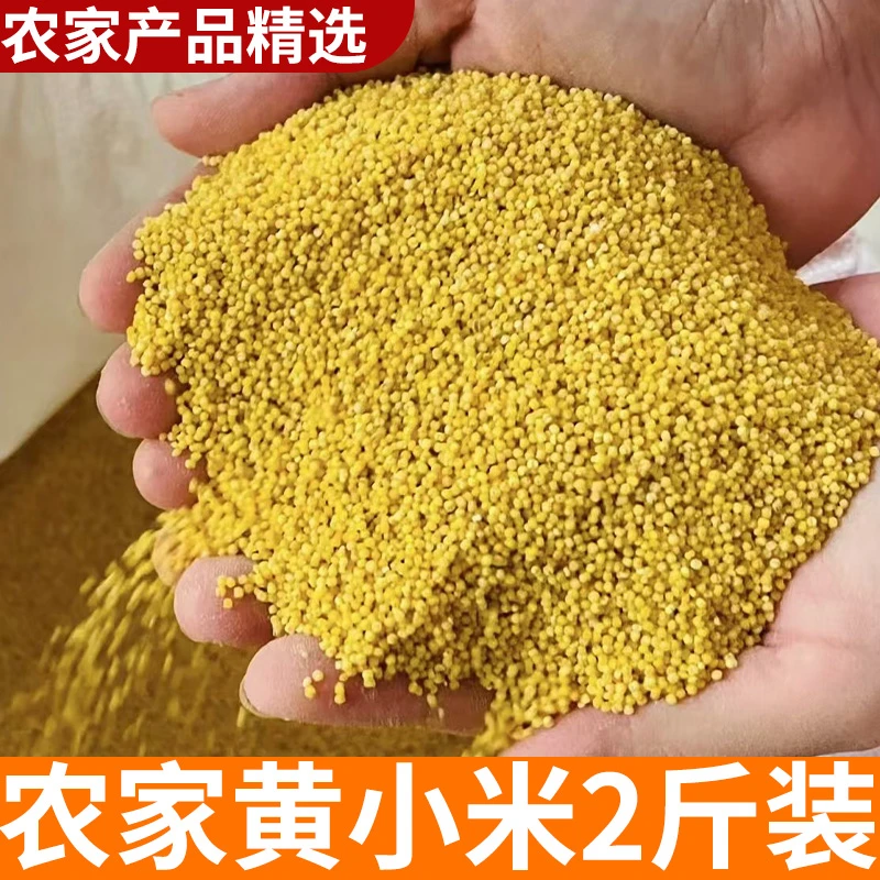 黄小米 2斤黄糯米农家自产五谷杂粮杂粮  农村杂粮新货