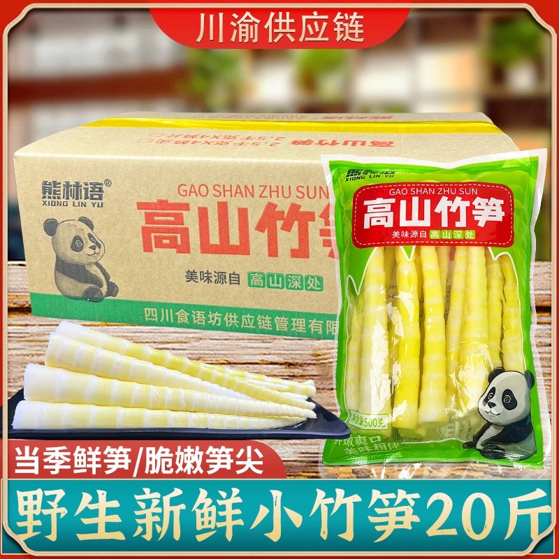 高山竹笋新鲜嫩笋尖餐饮商用野生清水小竹笋火锅麻辣烫罗汉笋20斤