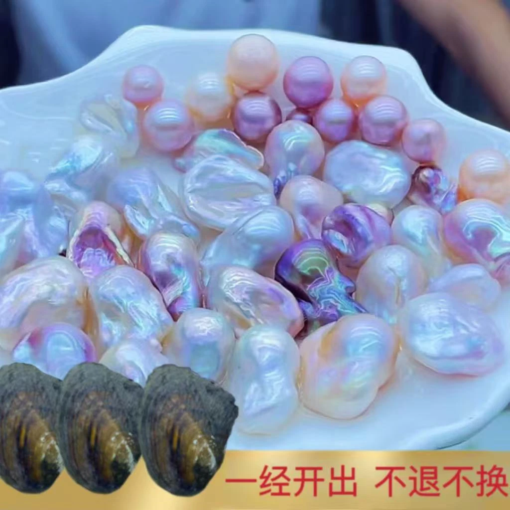 新女神大巴蚌2个蚌（每蚌保1颗大巴）可定制打孔
