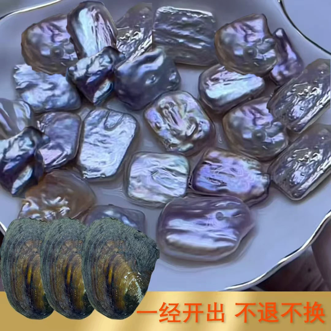 妖紫方糖蚌（保1个）可定制打孔