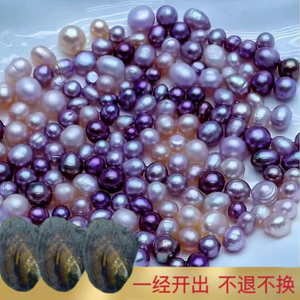 梦境多珠蚌3个蚌无核珍珠（每蚌保10颗）可定制打孔