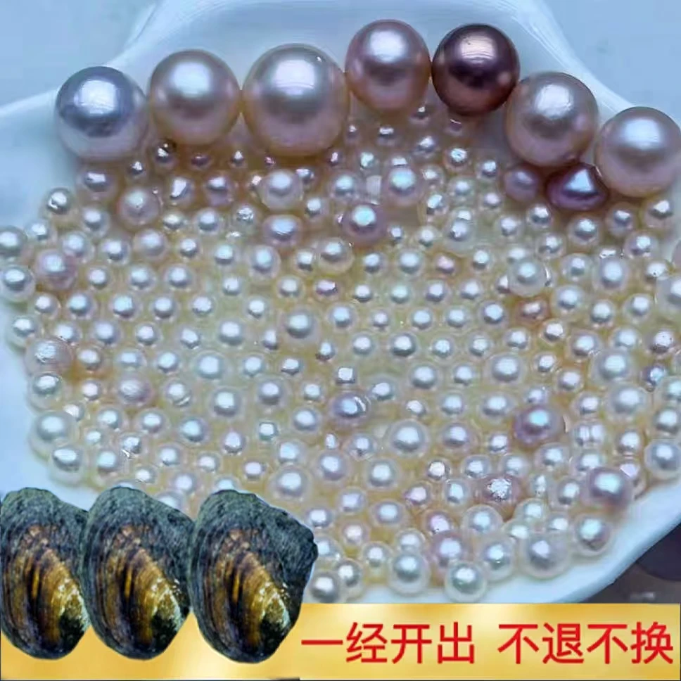 【大帅】女神AK蚌4个蚌淡水珍珠（每蚌保10颗AK）可定制打孔