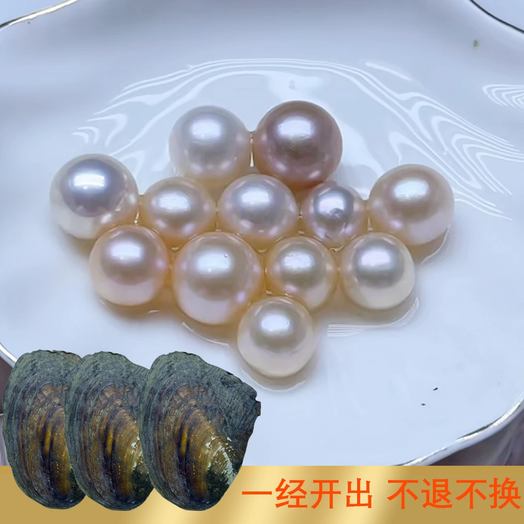 女神单珠蚌（保空木坏）可定制打孔