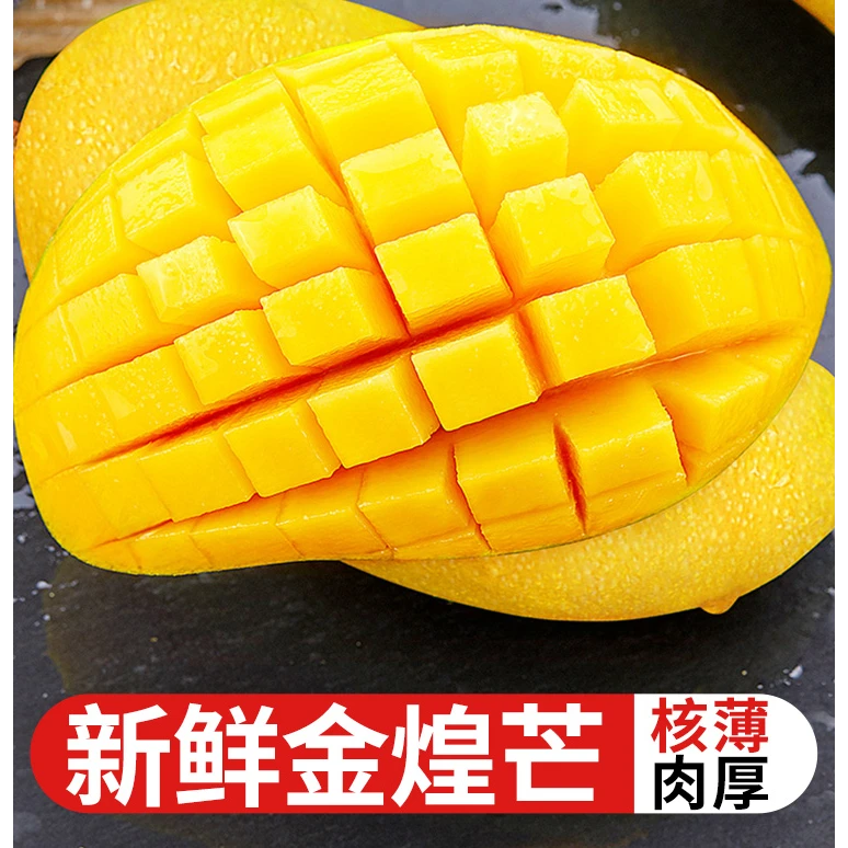 海南三亚金煌芒芒果新鲜应季水果香甜可口多汁纯甜8.5-9斤
