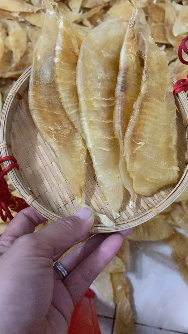 本港赤嘴金龙鱼胶