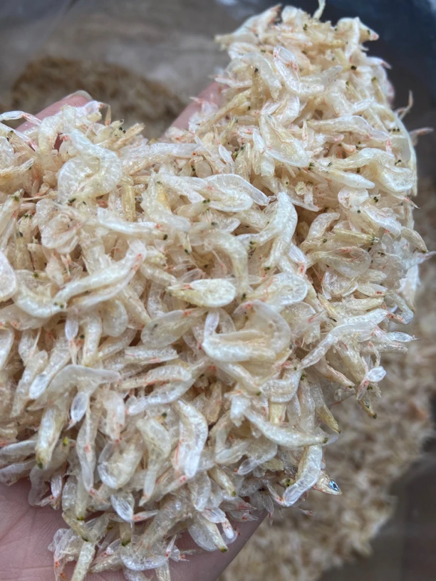 本港虾皮新鲜梅虾干海鲜干货