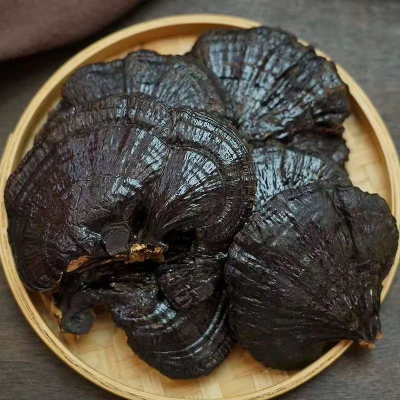 云南特产整枝黑灵芝煲汤煮水泡酒好物
