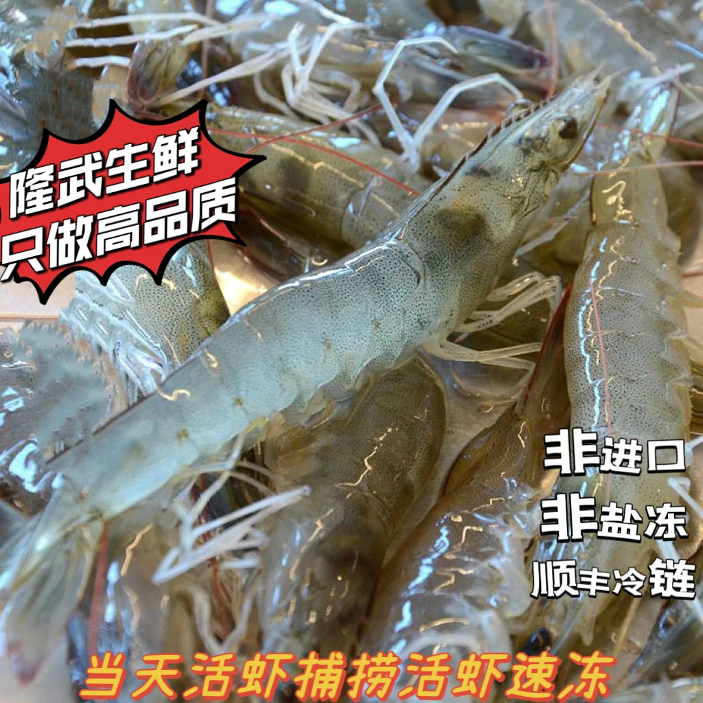 金马推荐，本地高盐度盐汪虾, 一斤30-35条，嫌小勿拍！大小个不匀！