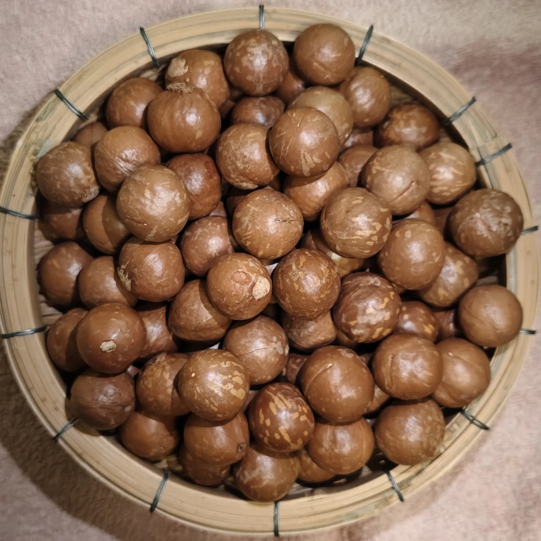 [同源南滇]云南山货夏威夷果送开口器大颗粒