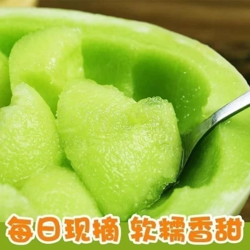 玉菇甜瓜蜜瓜新鲜果批发当季脆玉茹香瓜哈密瓜羊角蜜严选香甜种植