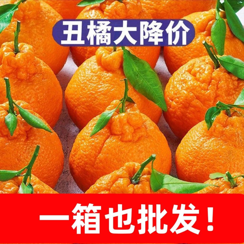 四川正宗不知火丑八怪耙柑丑橘柑橘现摘现发新鲜水果整箱皮薄发货