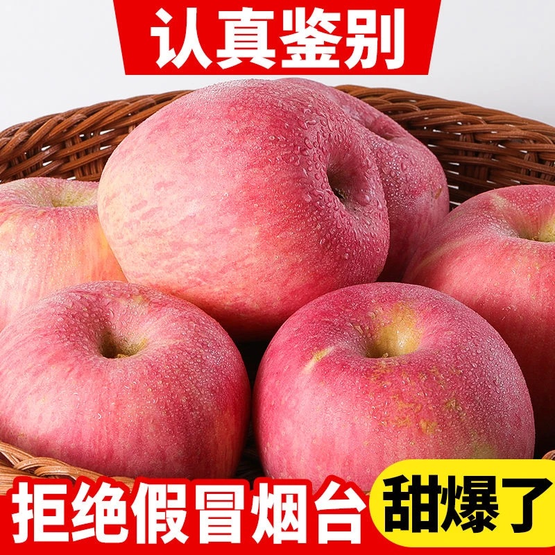 山东烟台红富士苹果当季现摘果新鲜脆甜不打蜡带皮吃整箱包邮营养