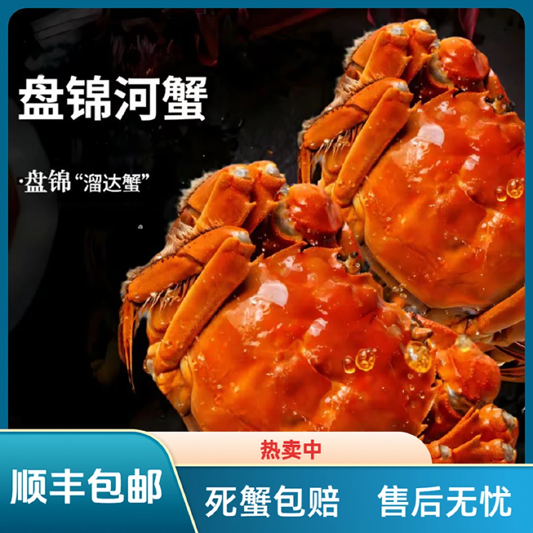 【活蟹】盘锦河蟹稻田蟹母蟹（1.8-2.1两/只）10只  精品磁吸礼盒装