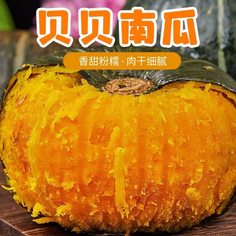 【贝贝南瓜】正宗真贝贝南瓜小南瓜宝宝辅食代餐农场自种小南瓜