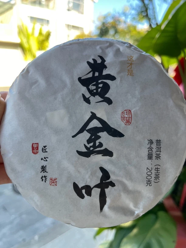 【磨烈冰岛甜】古树黄金叶普洱茶生茶紧压饼200克