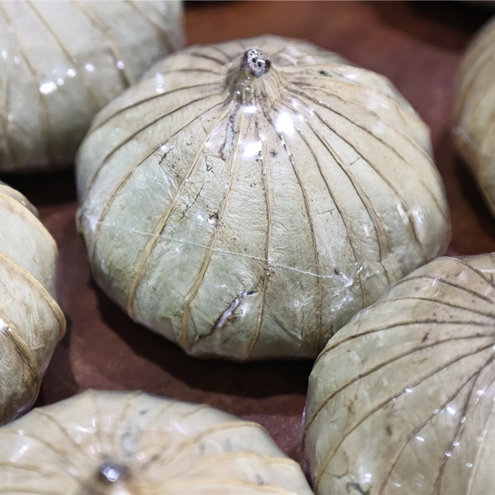 大黑森林2013西双版纳倚邦古茶区金瓜古树纯料沱