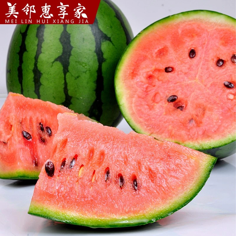 潍坊小糖丸手撕西瓜2K西瓜新鲜特产甘美西瓜农产品
