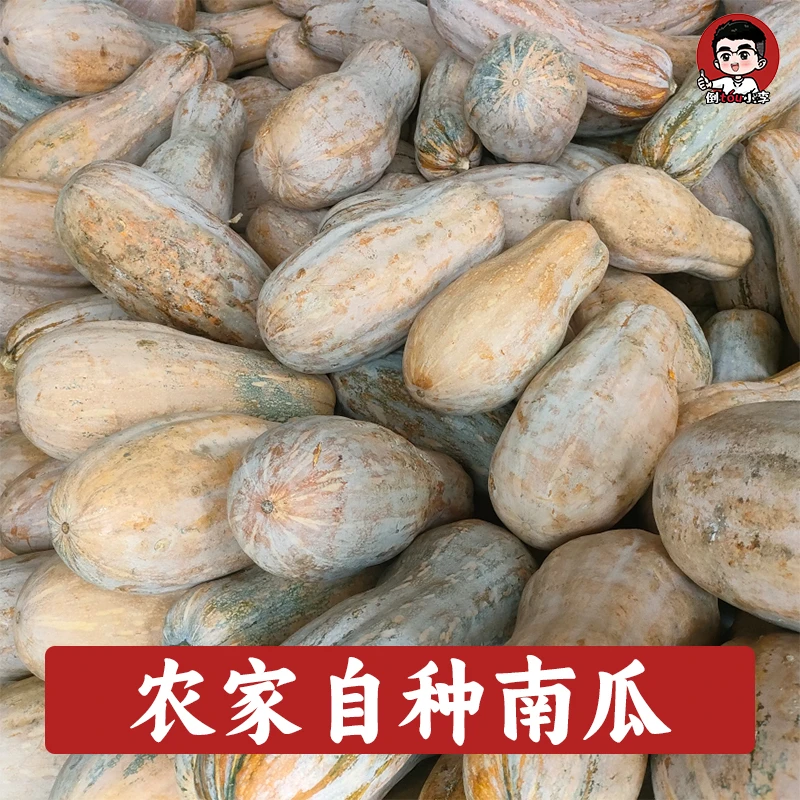 【小李力荐】新鲜南瓜正宗农家自种老南瓜蔬菜甜糯黄香甜现摘南瓜