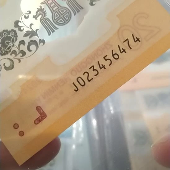 塑料2024小龙钞 023456474 评级