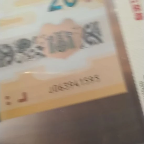 塑料2024小龙钞 063941595 评级