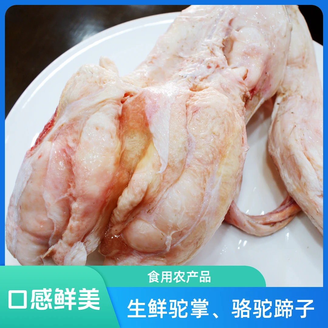 生鲜驼掌、骆驼蹄子