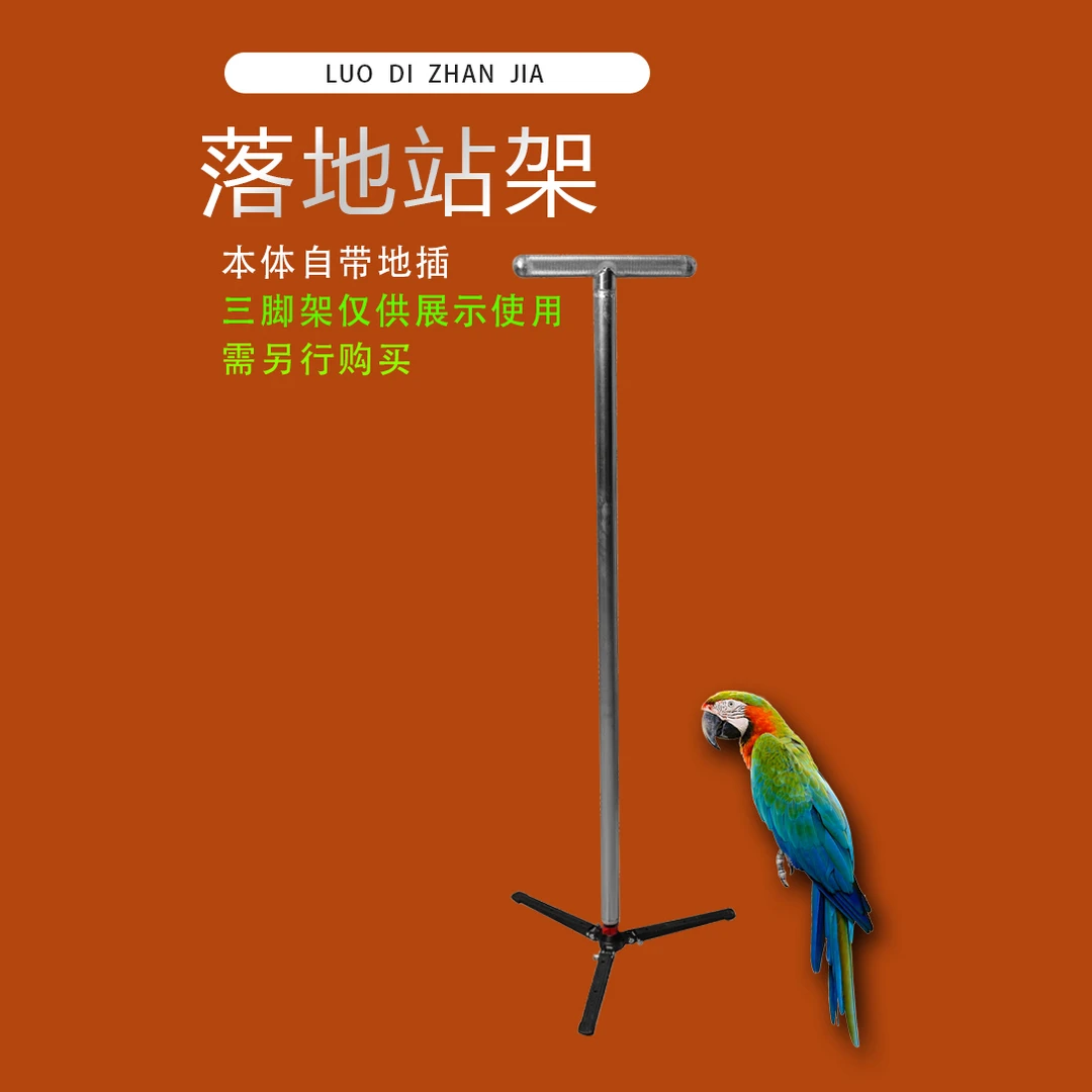 鹦鹉落地站架304钢