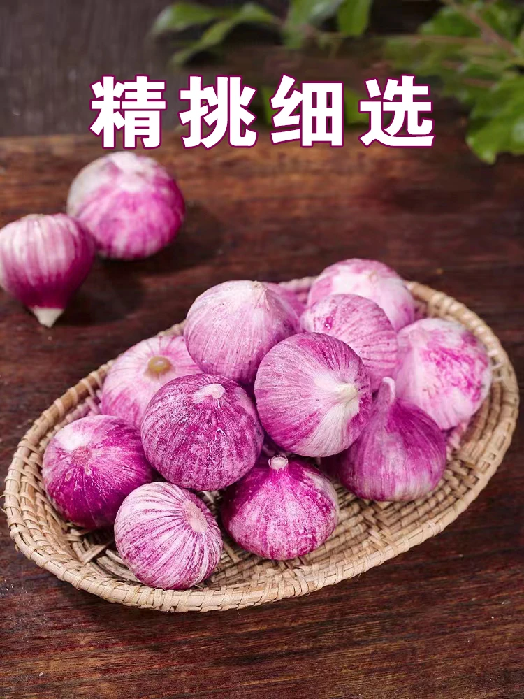 2023新鲜云南独头蒜大理紫皮鲜辣蒜头农家种植大蒜独头蒜脆爽肉厚