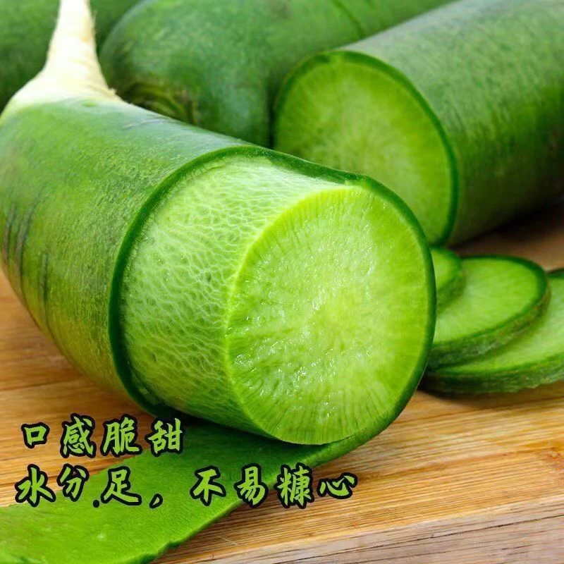 潍坊水果萝卜清脆清甜微微辣蔬菜食用农产品产地直发新鲜直达