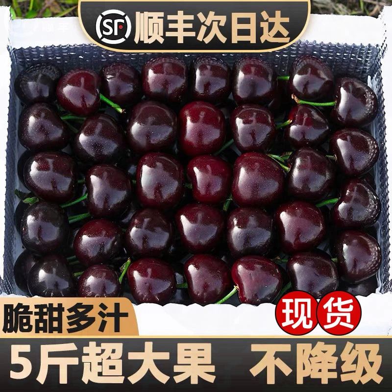 【狗哥严选】5斤原箱智利进口车厘子2J-4J桑提娜海运顺丰内附果径卡