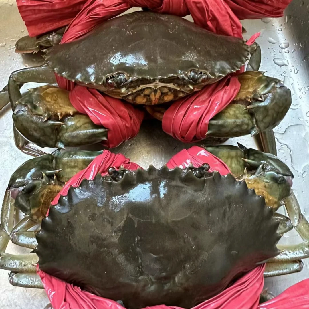鲜活包有膏 红膏蟹【直播间现称链接】
