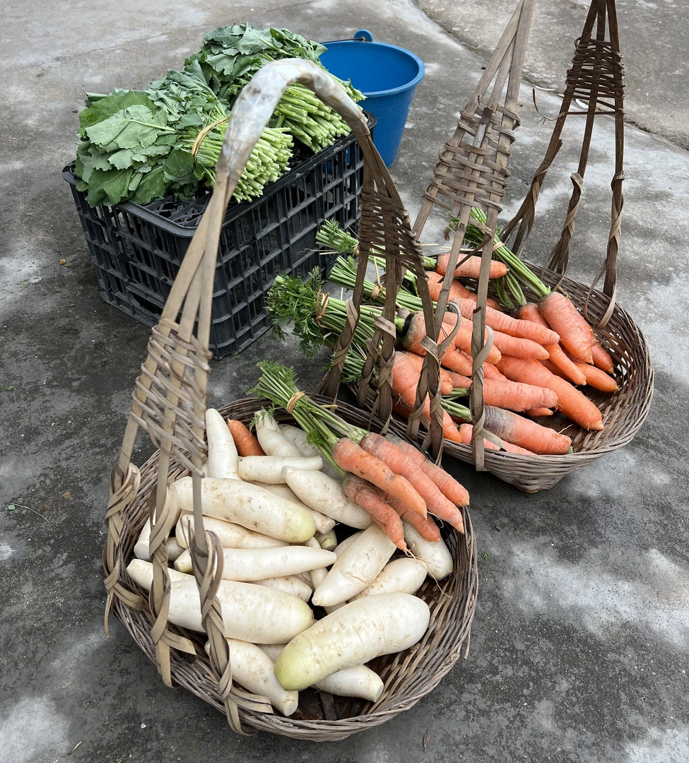 （范耕山货）青菜生鲜组合装京东包邮