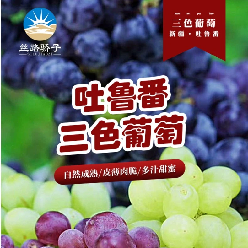 丝路骄子新疆吐鲁番应季水果三色鲜葡萄4斤±100g