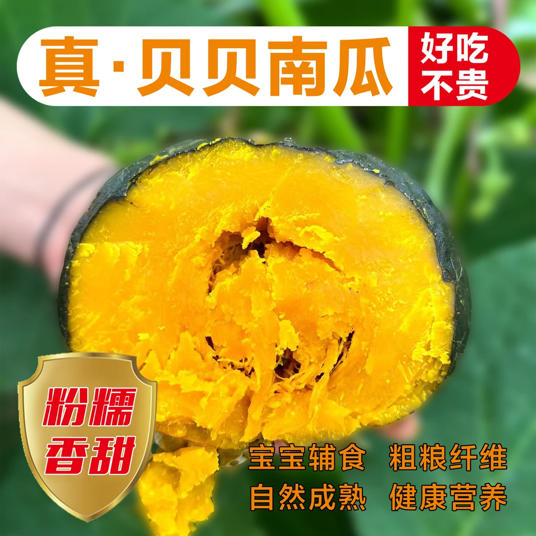 山东潍坊贝贝南瓜自然成熟粉糯香甜板栗味新鲜好吃宝宝辅食