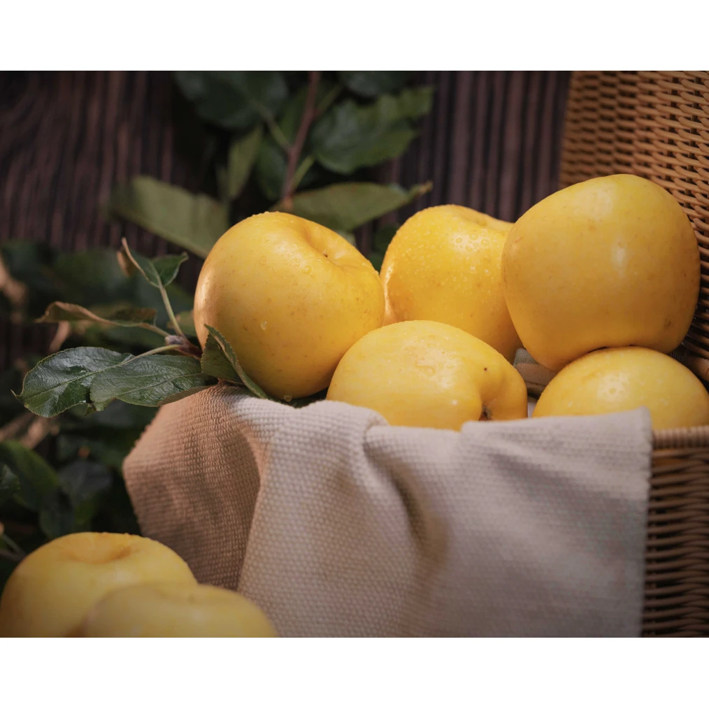 白鹭牧场黄金维纳斯苹果75-85mm礼盒装