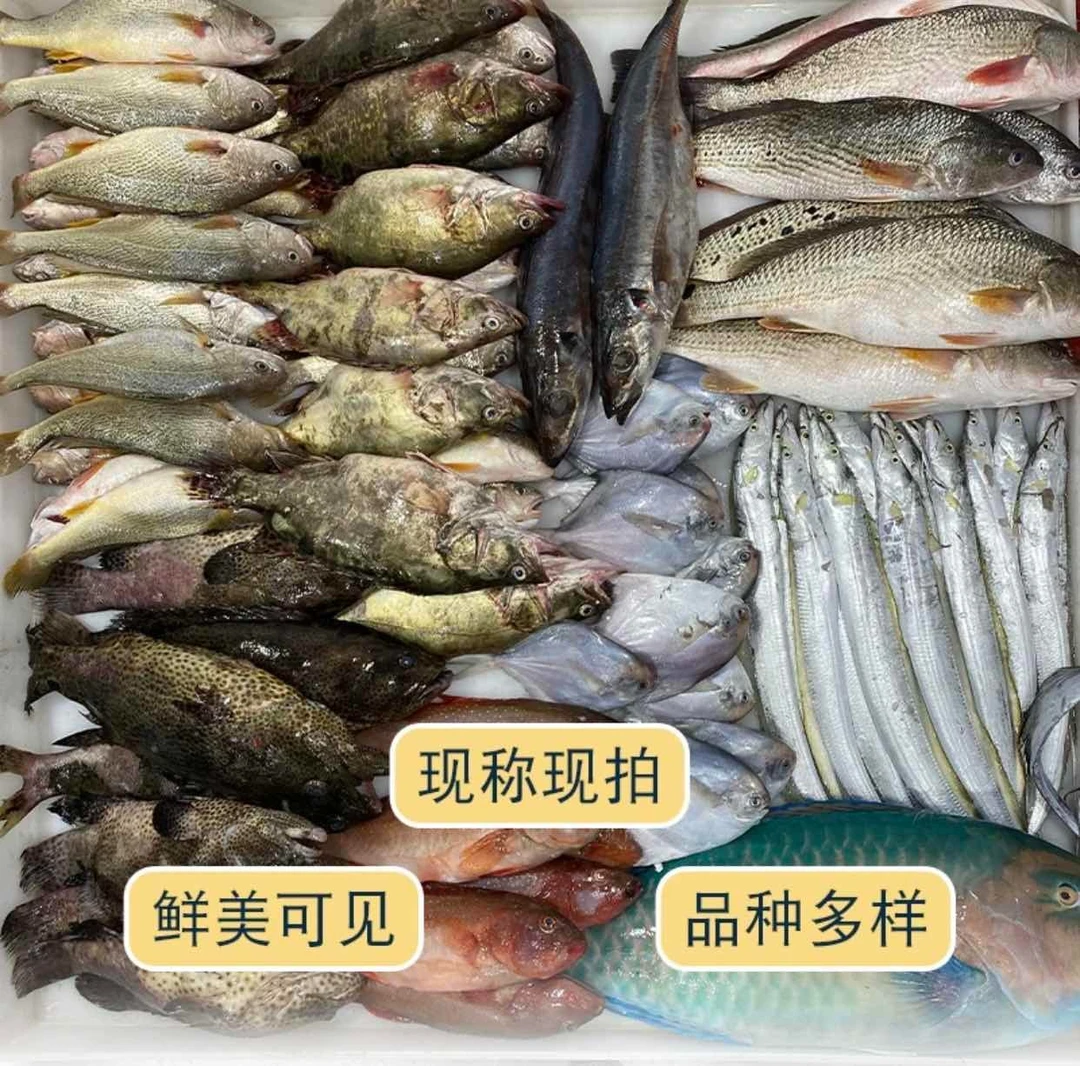 牛尾 厦门同城配送2500g