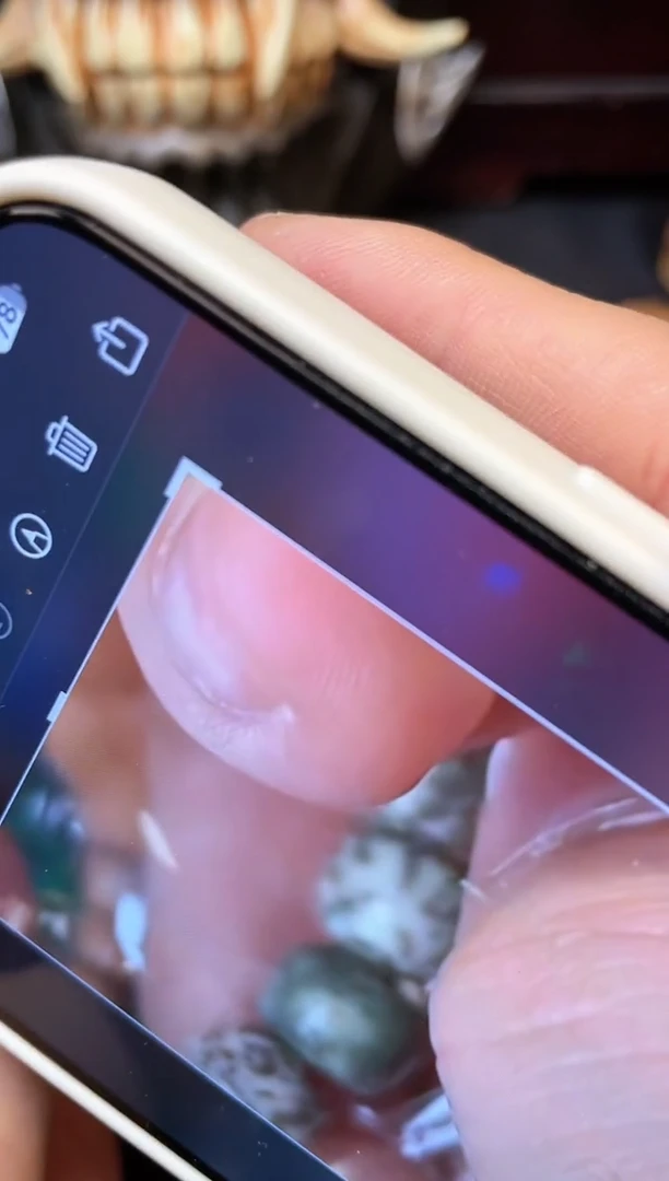 【闪购商品】星月菩提手串2号 星月菩提 福利手串 尺寸10