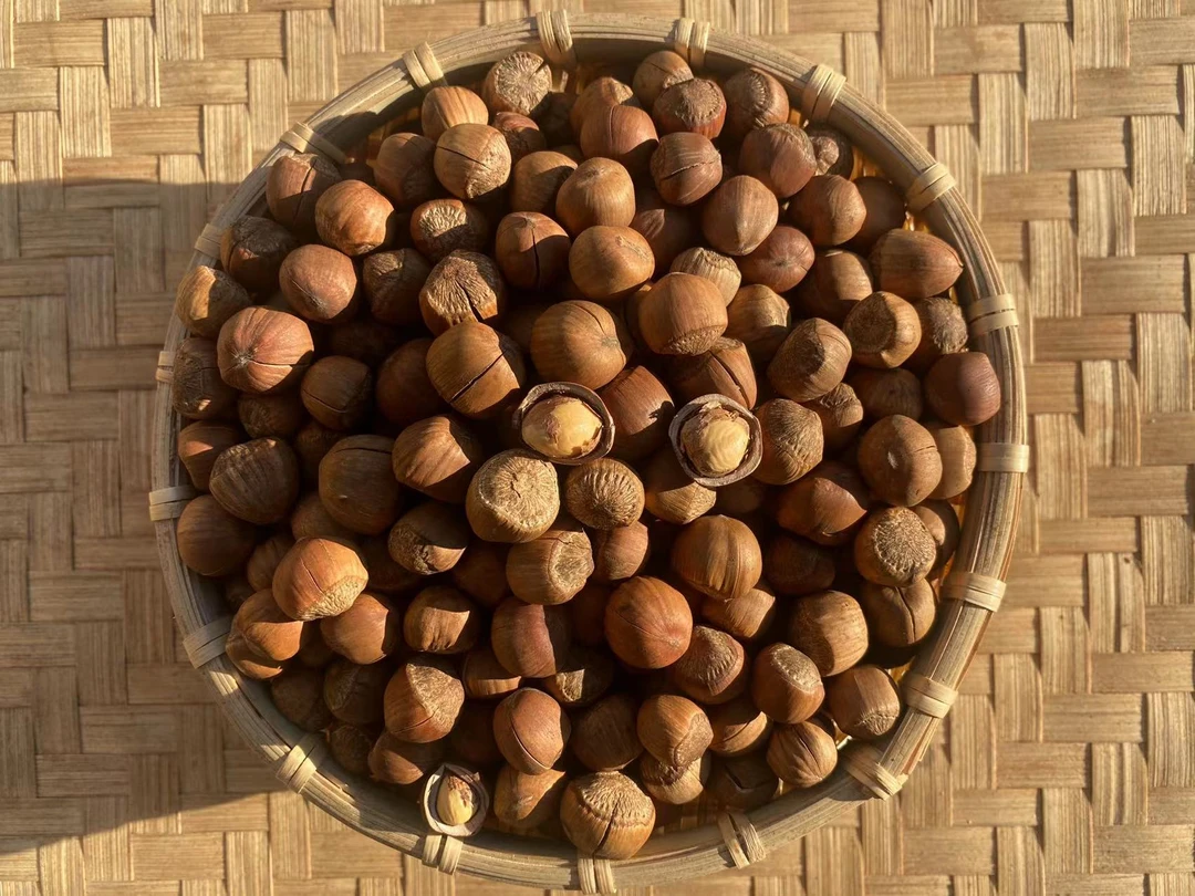 手拍山榛子（熟）3斤/5斤