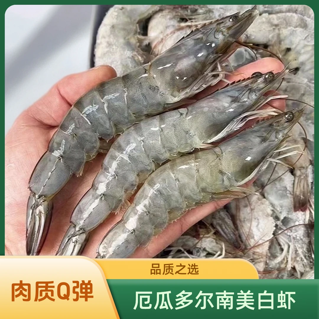 白虾厄瓜多尔南美白虾20/30