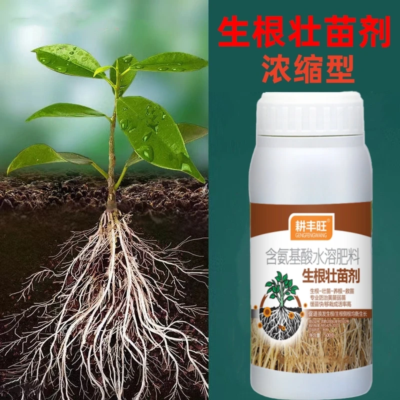 生根壮苗剂生根粉生根液移栽扦插果树花卉瓜果蔬菜植物强力发根剂