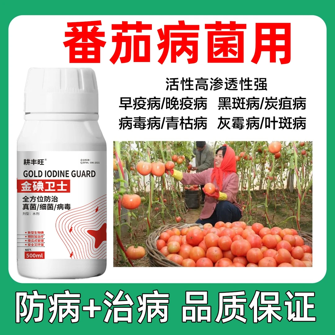 番茄病专用药番茄早晚疫病番茄灰霉病番茄病预防治疗药番茄一喷净